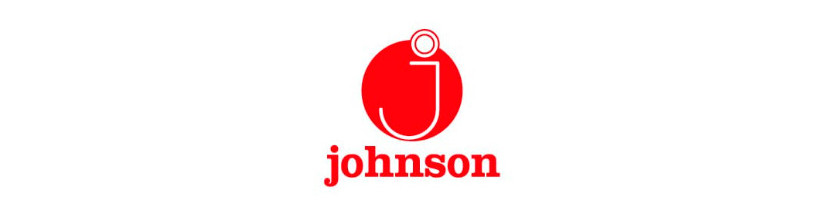 Calentadores gas Eas Electric - Johnson